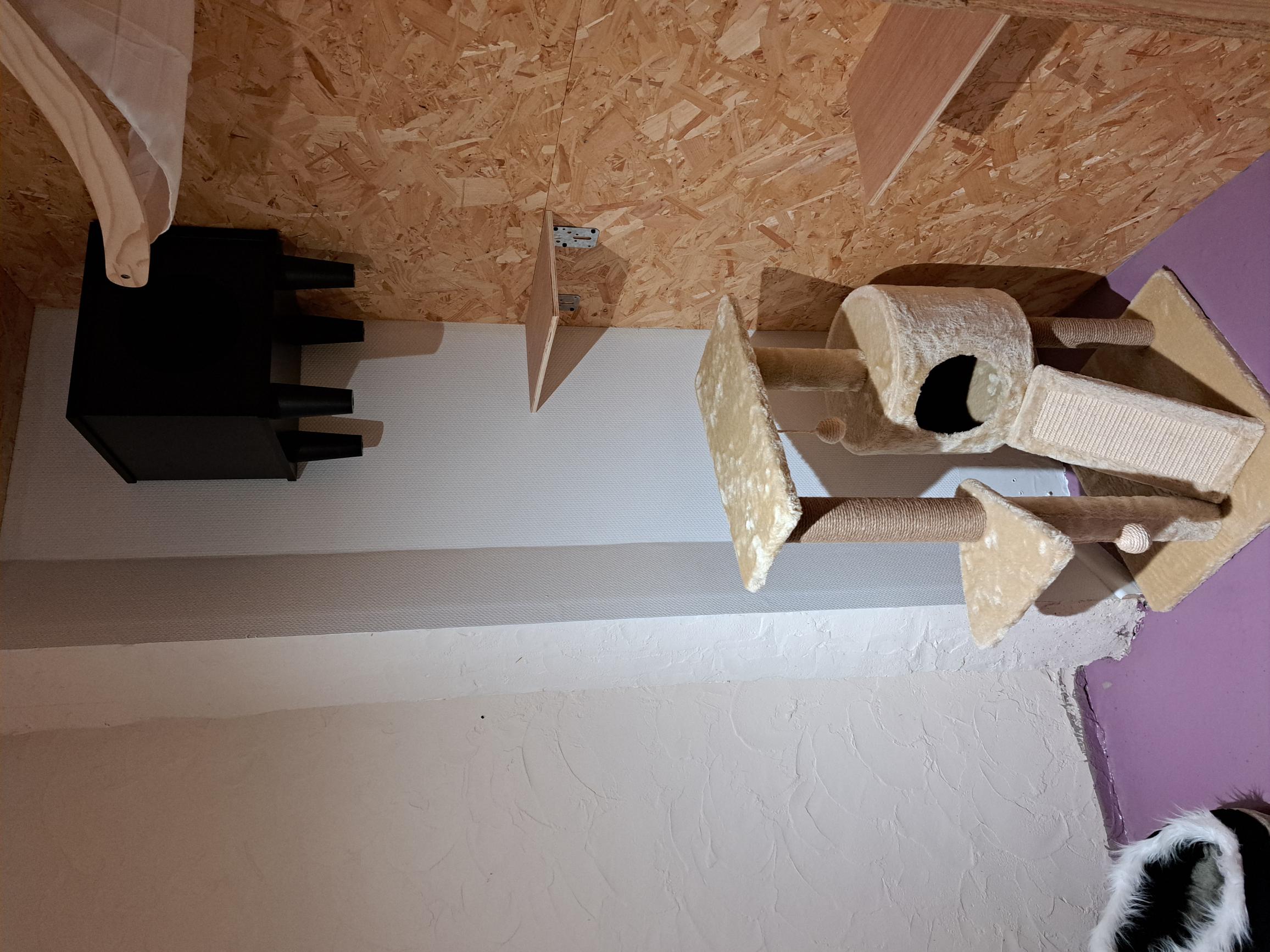 Chambre confort – pension féline à Drogenbos