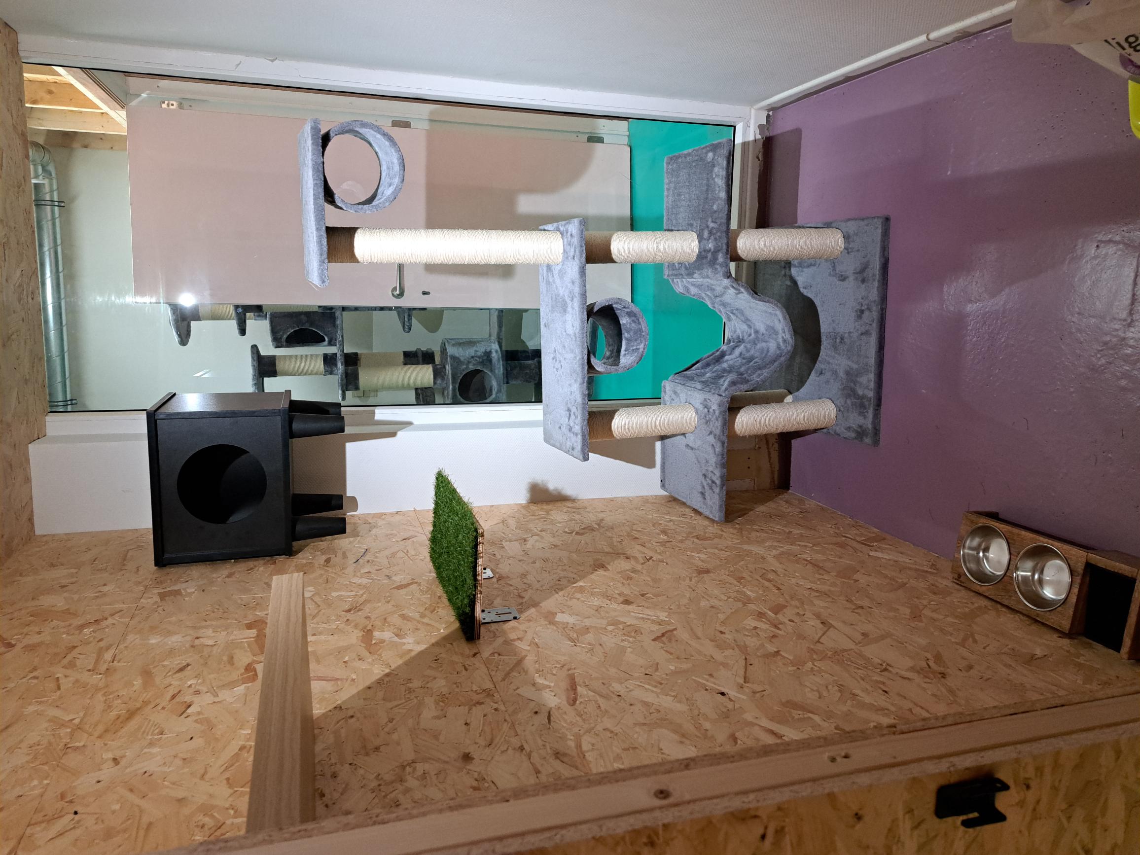 Chambre cosy – hôtel pour chats à Drogenbos