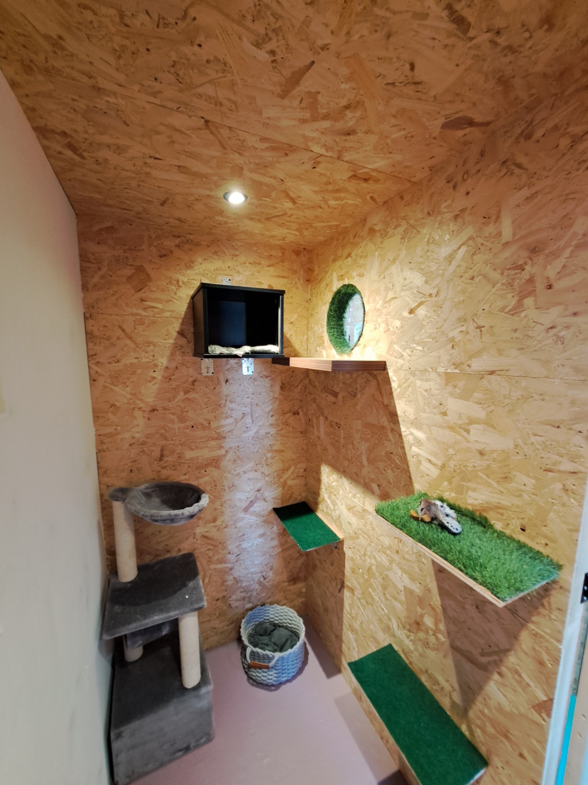 Chambre Hublot – hôtel pour chats