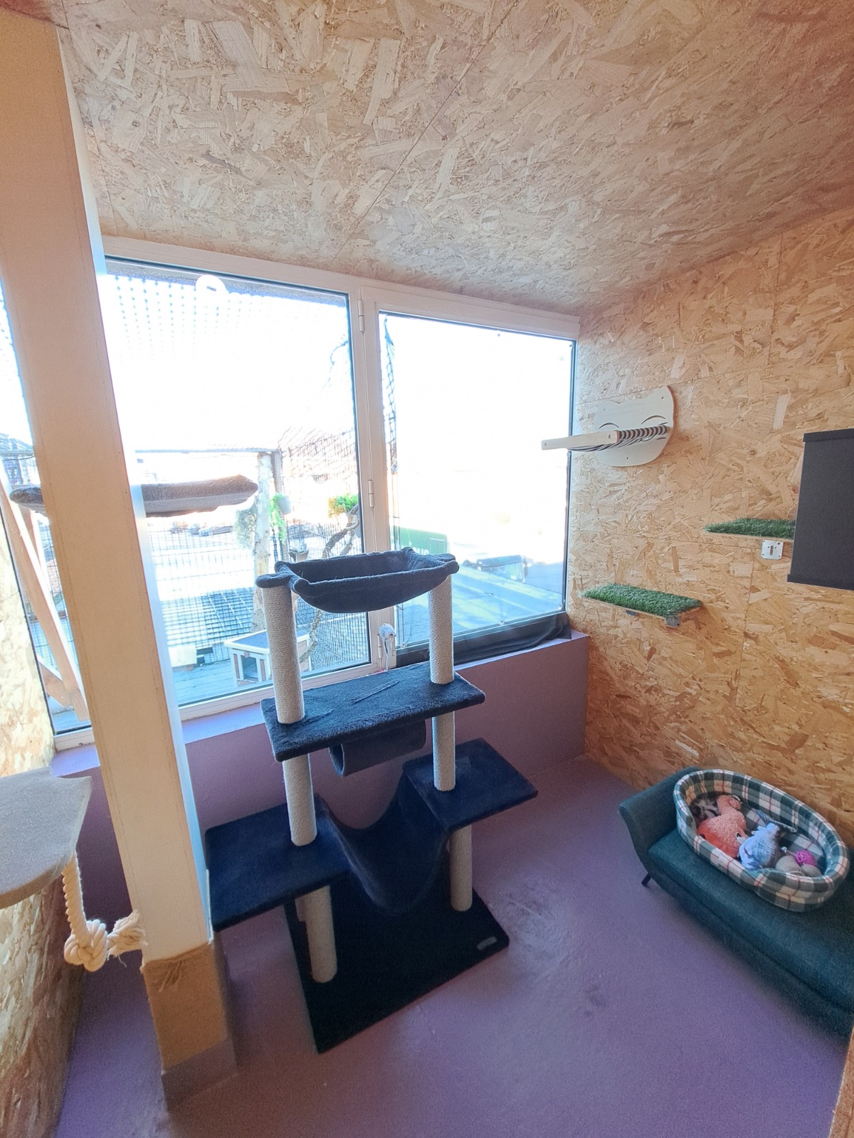 Chambre Véranda Familiale – hôtel pour chats